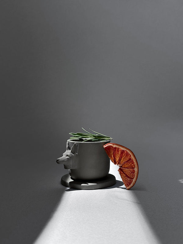 Mezcalero Xolo